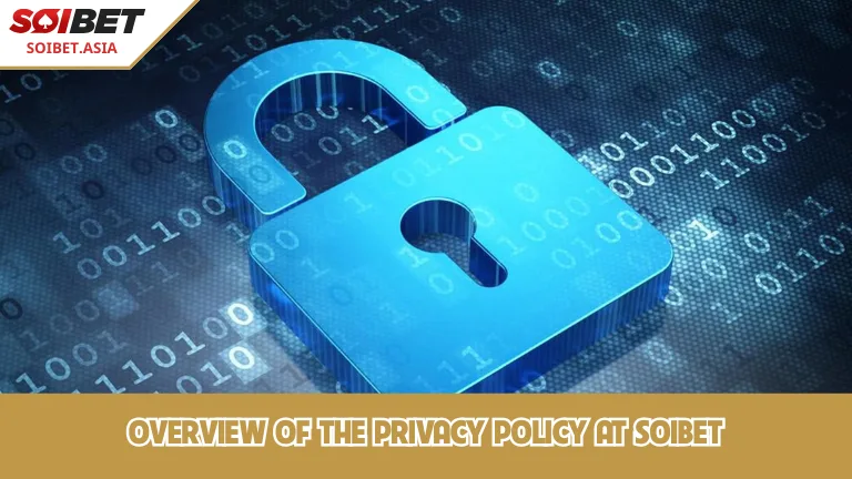 เรียนรู้เล็กน้อยเกี่ยวกับนโยบายความเป็นส่วนตัวที่ SOIBET