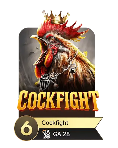cockfight