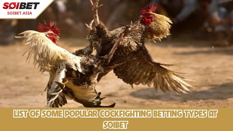 รายชื่อประเภทการเดิมพันไก่ชนยอดนิยมบางส่วนที่ SOIBET