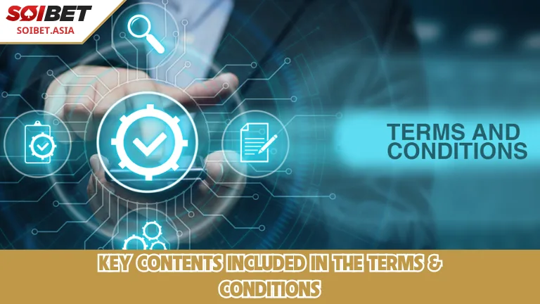 ประเด็นสำคัญบางประการที่รวมอยู่ในข้อกำหนดและเงื่อนไข