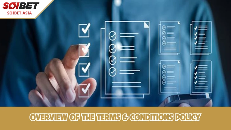 ภาพรวมนโยบายข้อกำหนดและเงื่อนไข
